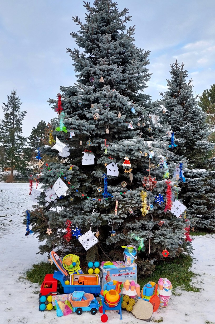 Vánoční strom 7