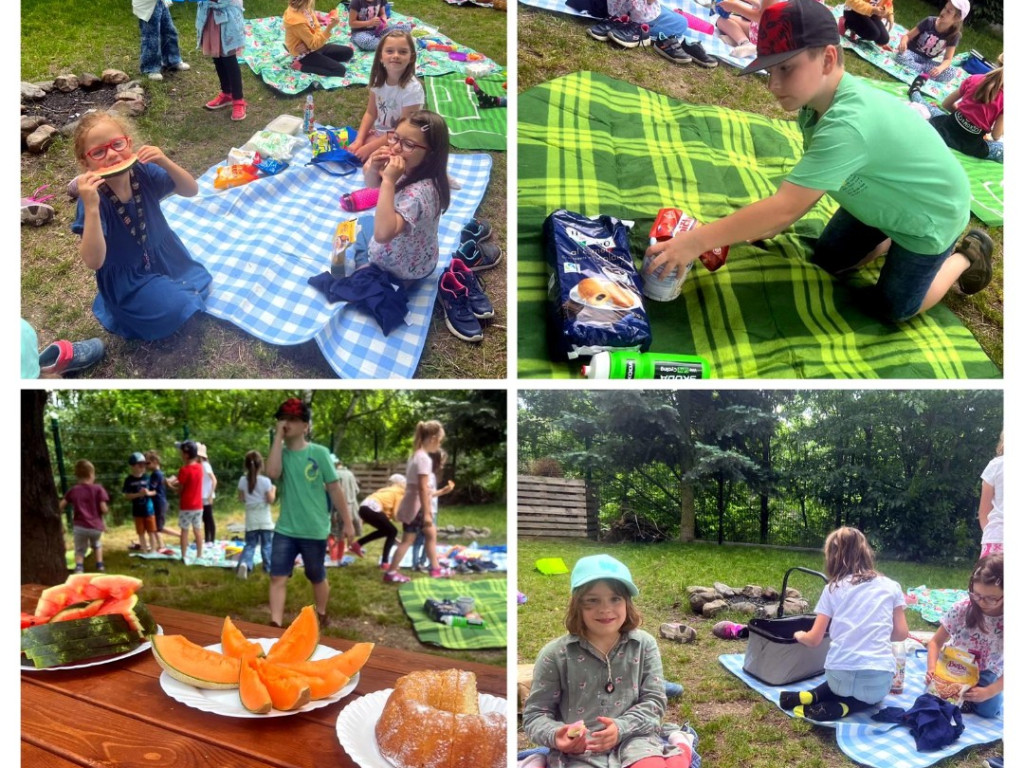 Piknik 10